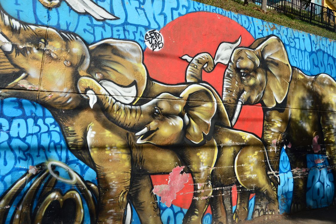  Expansión del arte urbano gráfico en Medellin