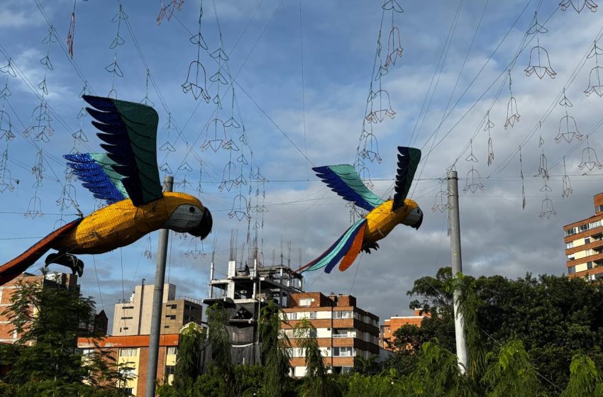  Alumbrados EPM, una fantasía tejida a mano en Medellín