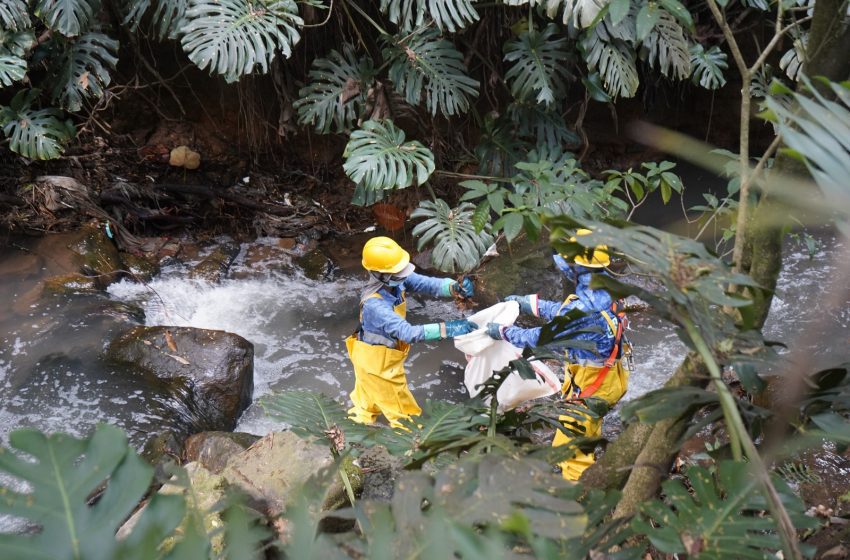  Poblado más  cultural, renovado, verde y seguro